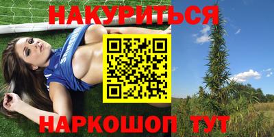 молекула духа Шебекино