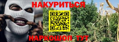 молекула духа Шебекино
