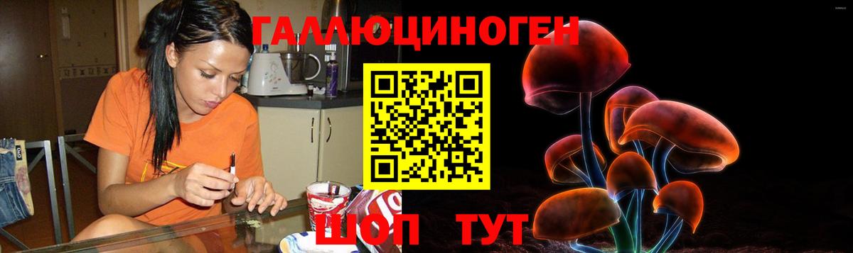 Псилоцибиновые грибы Cubensis Богданович